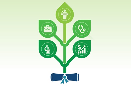 A  graphic of a tree springing from a diploma, on whose branches hang a microscope, a diploma, a person at a podium, a stethoscope, and a financial chart 